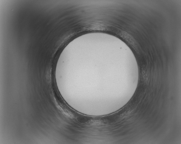 X0000073870534200608241137