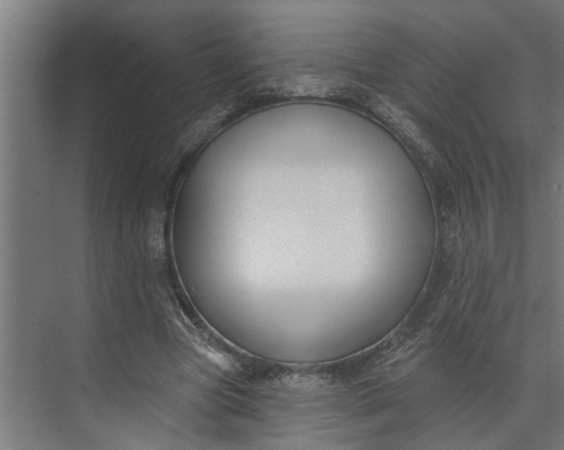 X0000073870537200608241137