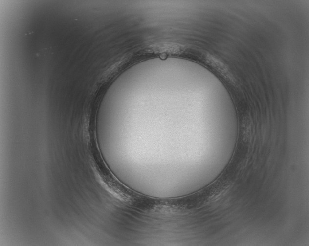 X0000073870538200608241137