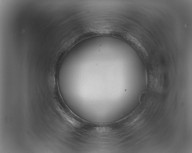 X0000073870541200608241137