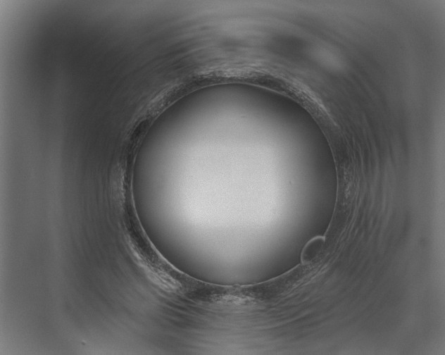 X0000073870542200608241137