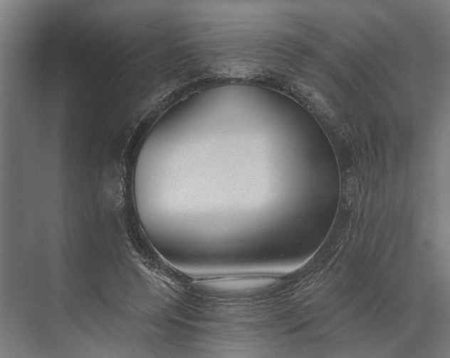 X0000073870544200608241137