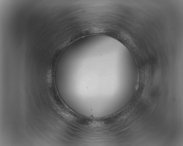 X0000073870549200608241137