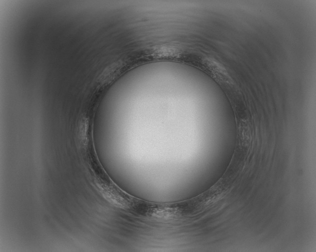 X0000073870550200608241137