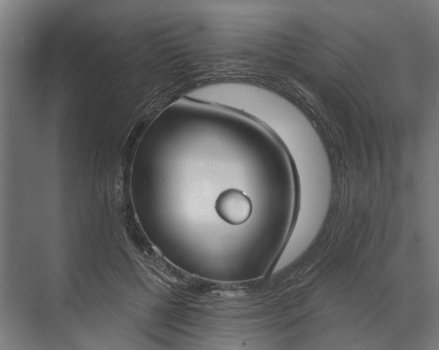 X0000073870552200608241137