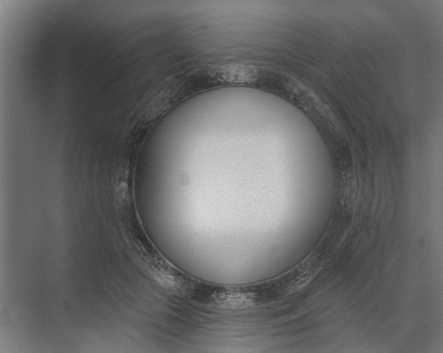 X0000073870553200608241137