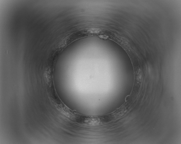 X0000073870559200608241137