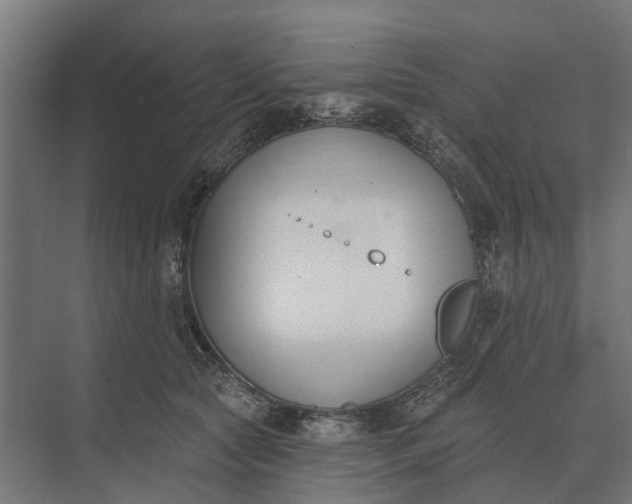 X0000073870561200608241137