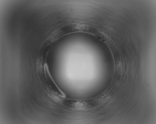 X0000073870566200608241137