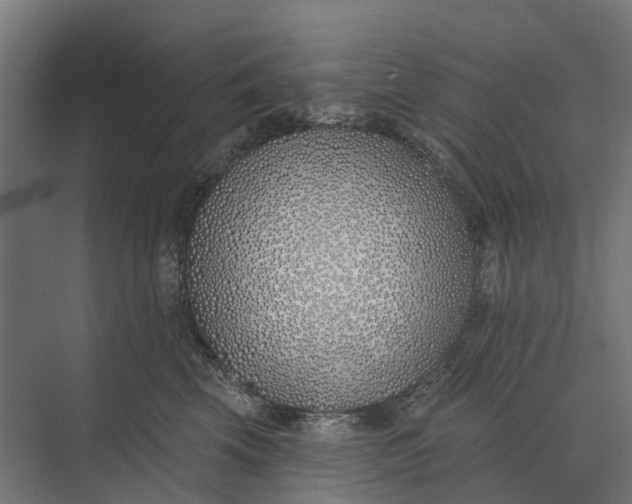 X0000073870569200608241137