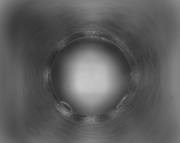 X0000073870574200608241138