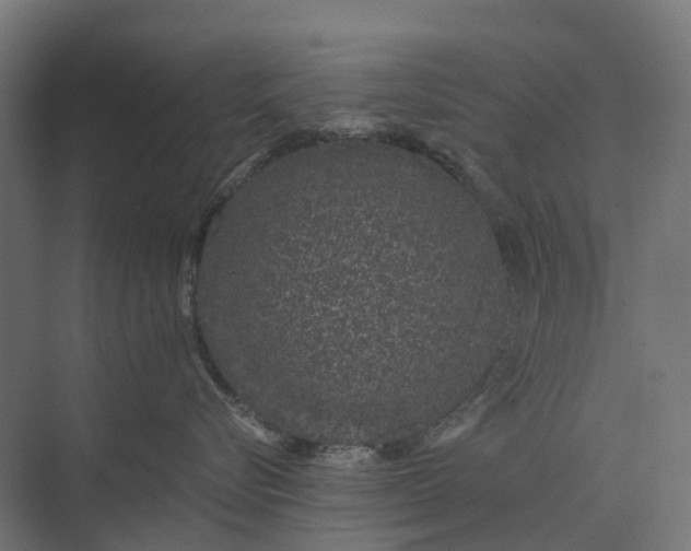 X0000073870576200608241138