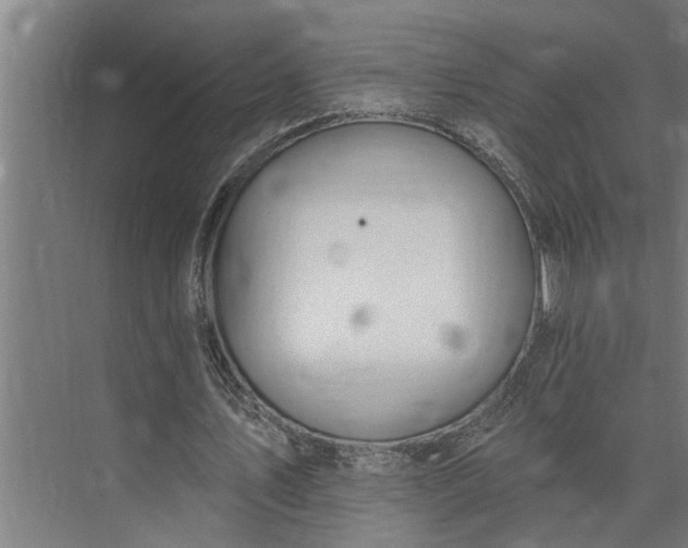 X0000073870579200608241137