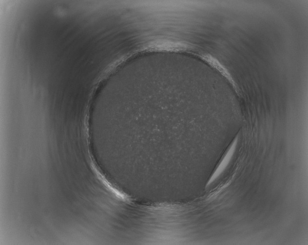 X0000073870581200608241137