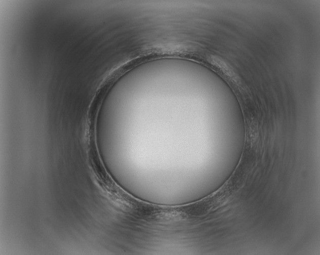 X0000073870583200608241137