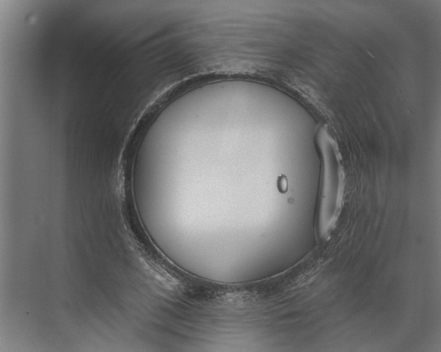 X0000073870584200608241137