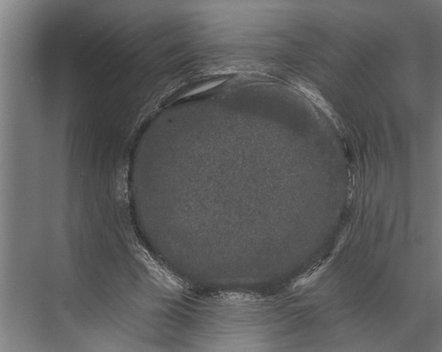 X0000073870585200608241137