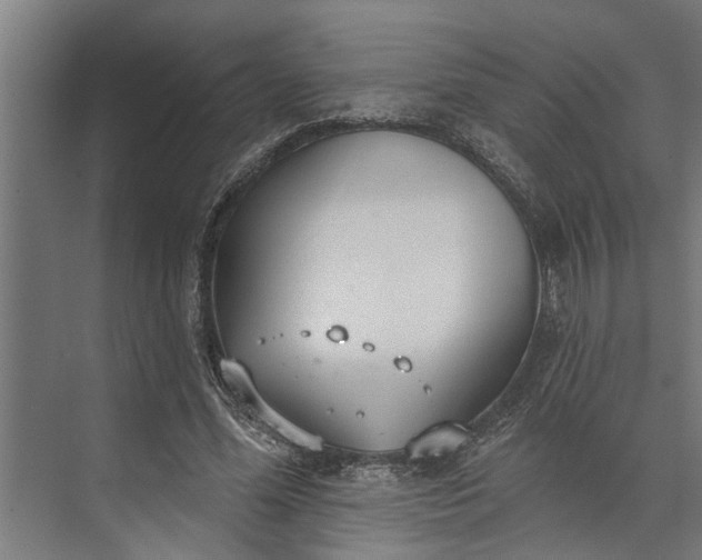 X0000073870588200608241137