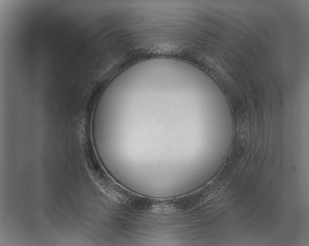 X0000073870591200608241137