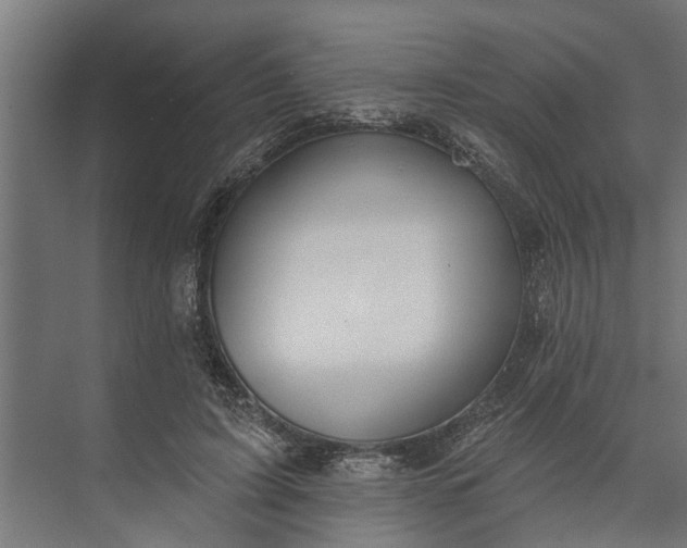 X0000073870595200608241136