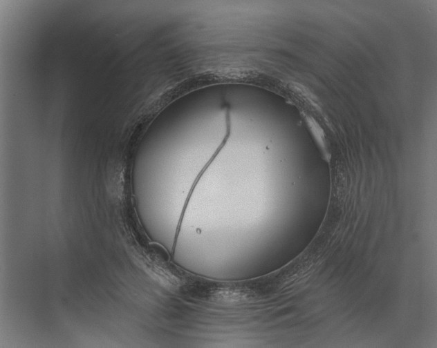 X0000073870596200608241136