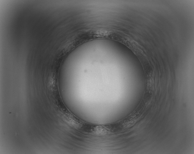 X0000073870608200608241136