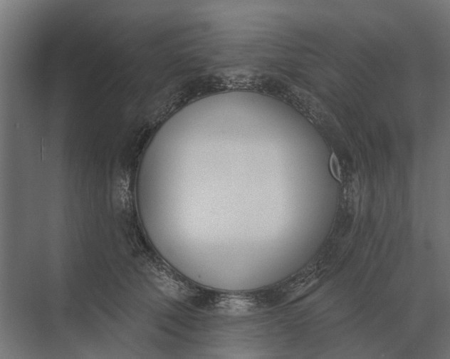 X0000073870610200608241136