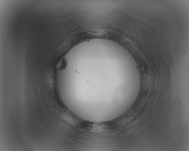 X0000073870612200608241136