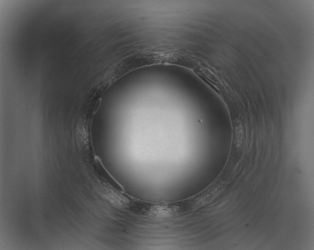 X0000073870613200608241136