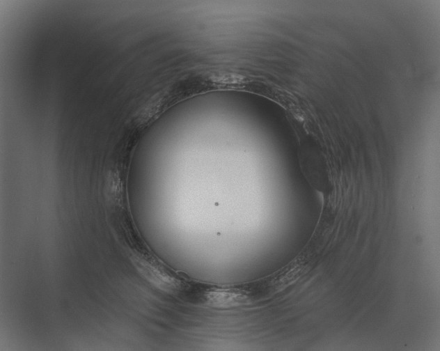 X0000073870614200608241136