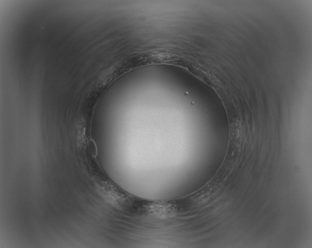 X0000073870615200608241136