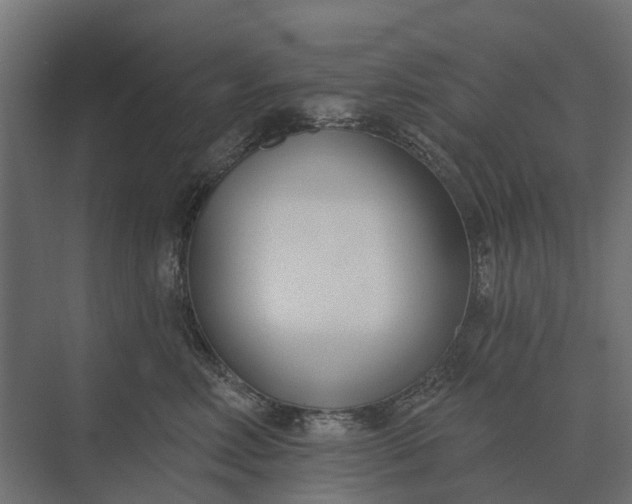 X0000073870618200608241136