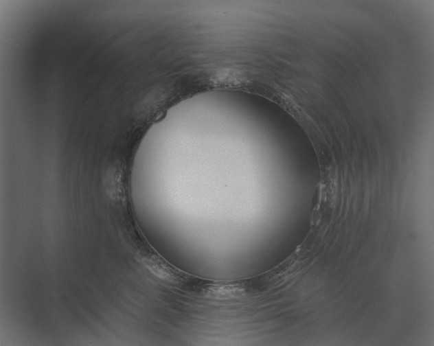 X0000073870619200608241136