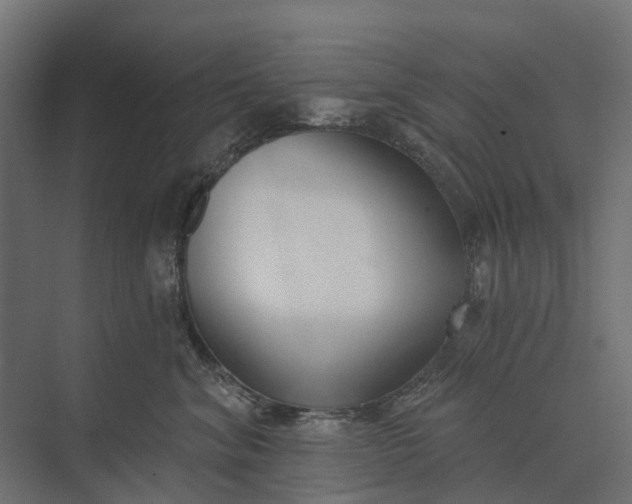 X0000073870620200608241136