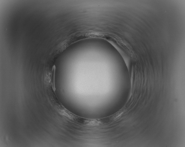 X0000073870621200608241136