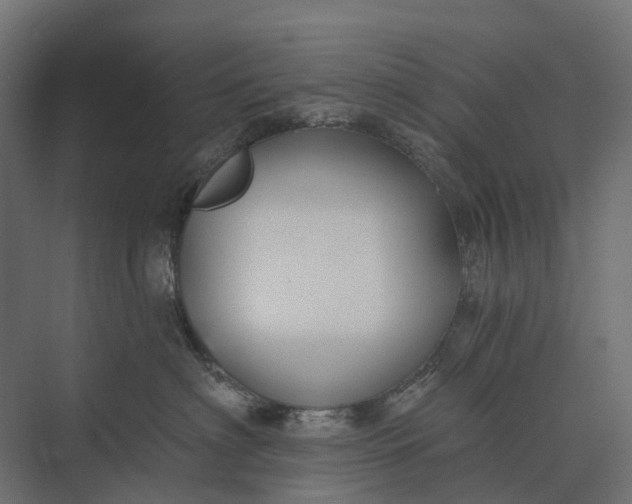 X0000073870622200608241136