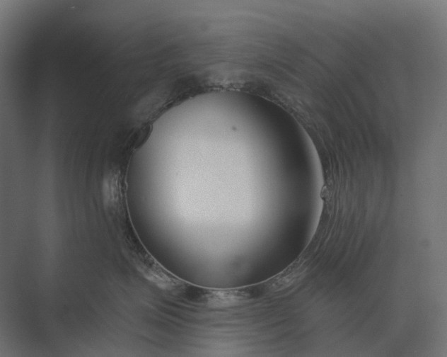 X0000073870623200608241136