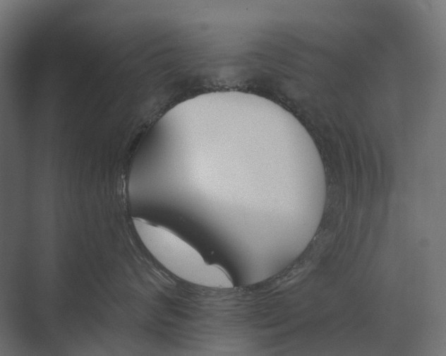 X0000073870624200608241136