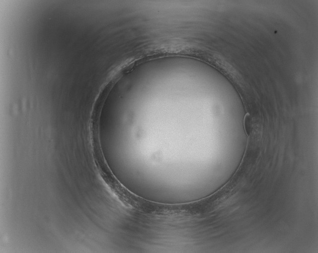 X0000073870626200608241135