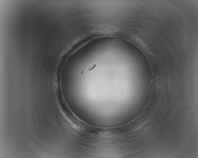 X0000073870634200608241135