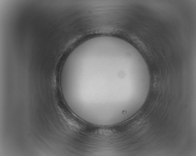 X0000073870636200608241135