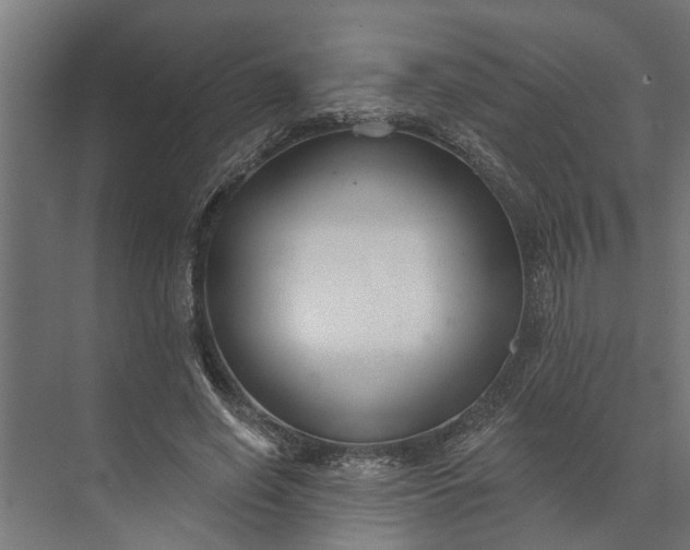 X0000073870638200608241135