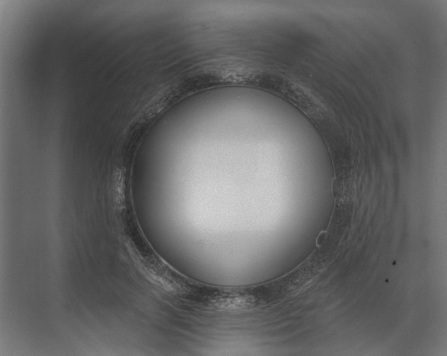 X0000073870646200608241136