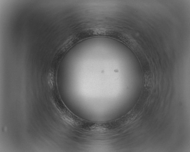 X0000073870648200608241136