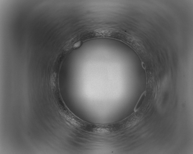 X0000073870649200608241136