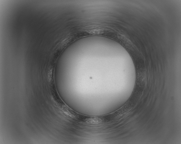 X0000073870652200608241136