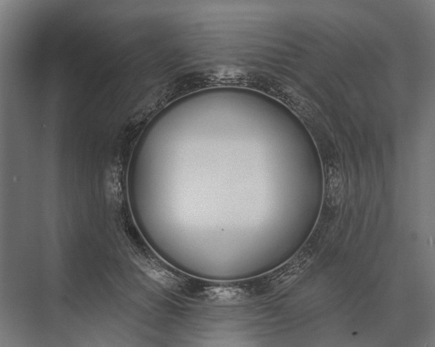 X0000073870654200608241136