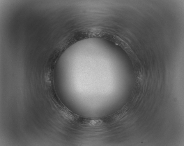 X0000073870663200608241136