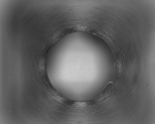 X0000073870665200608241136