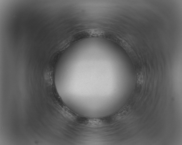 X0000073870666200608241136